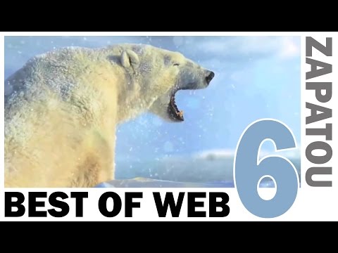 Best of Web 6 - HD - Zapatou