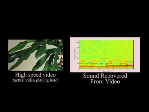 The Visual Microphone: Passive Recovery of Sound from Video