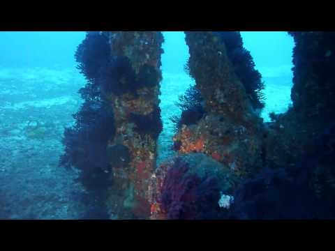 Wracktauchen: Le Grec (Le Sagona), Côte d&#039;Azur, Frankreich