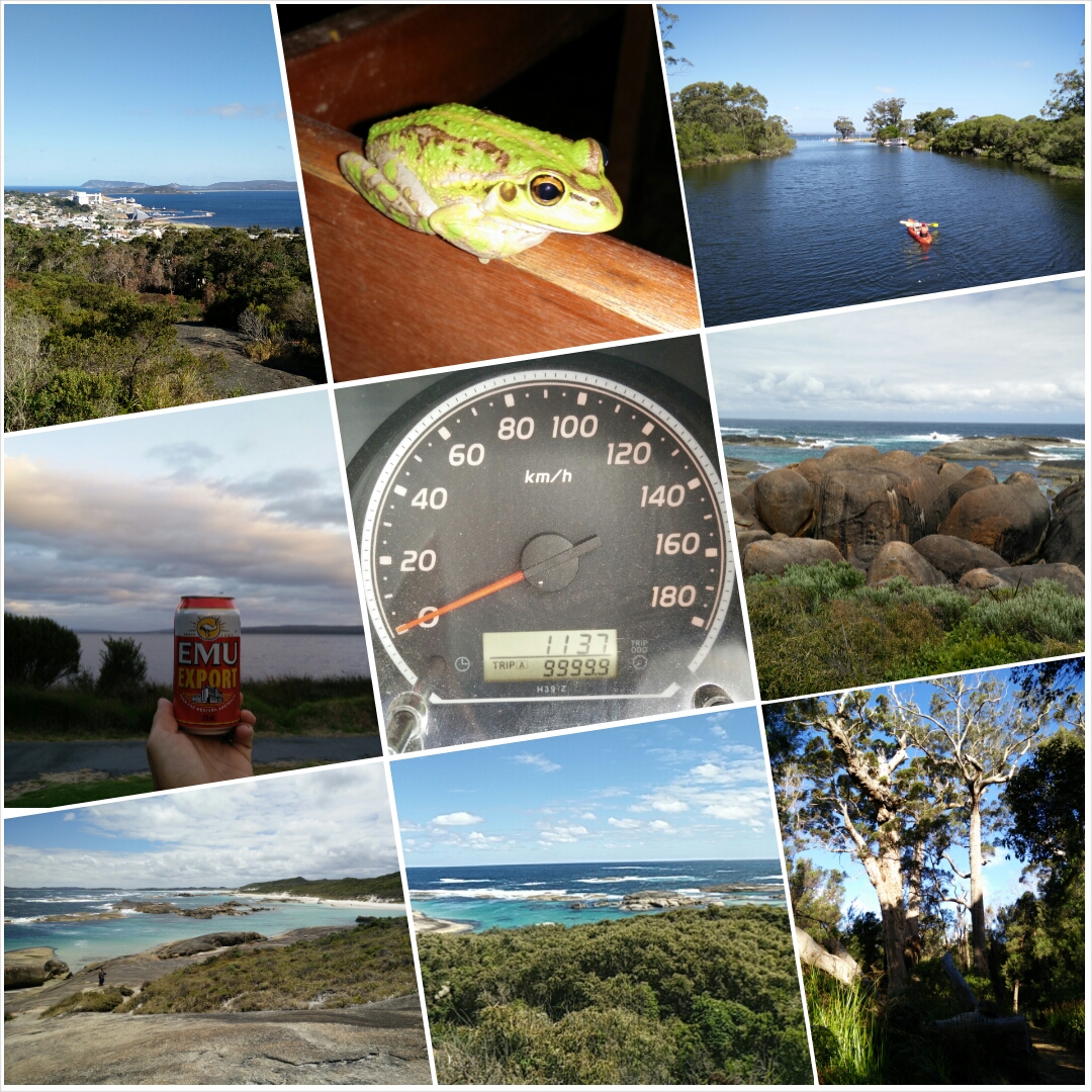 Collage: Albany, Denmark, Elephant Rocks, Valley of the Giants...