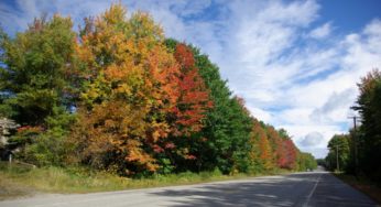 Bilder Maine und Rhode Island